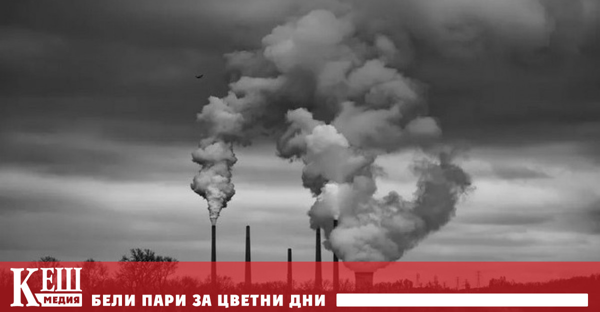 Учени установиха че както в големите така и в малките