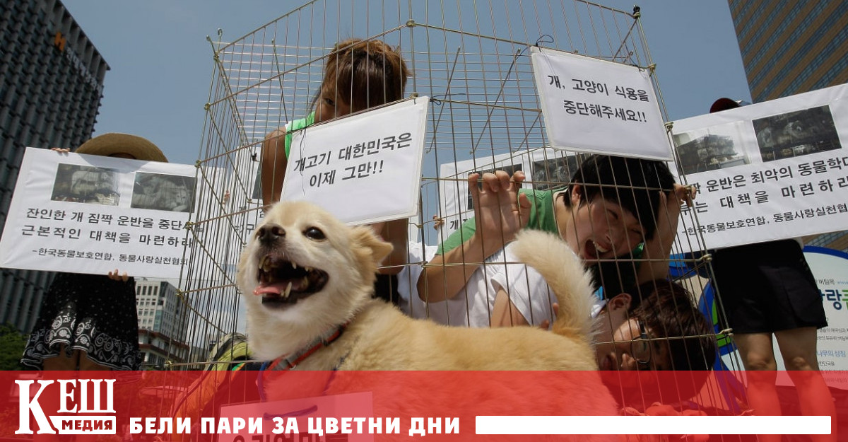 След това в страната няма да се продава кучешко месо