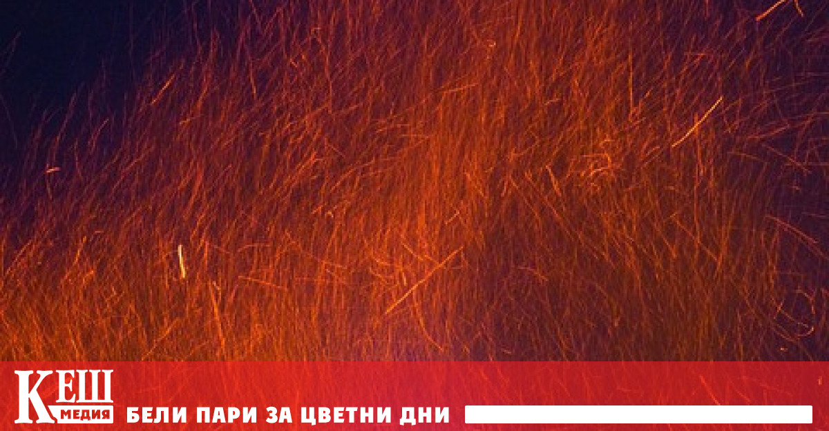 Високите температури може да са причинили повече от 70 000