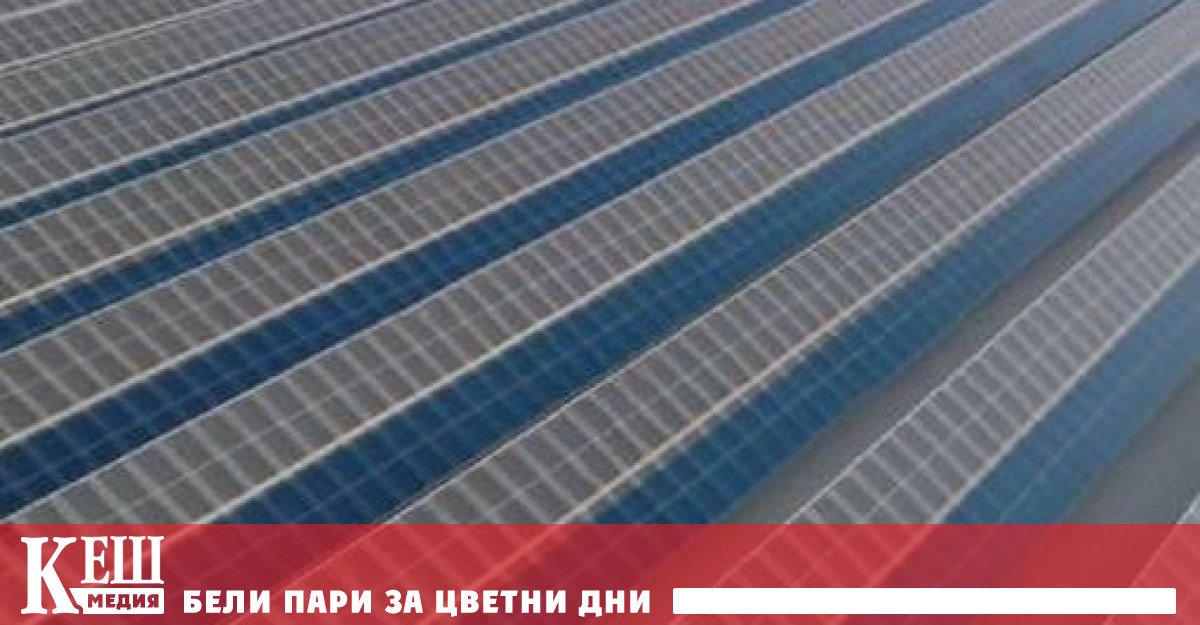 Преди COP28 Конференцията на ООН за изменението на климата Обединените