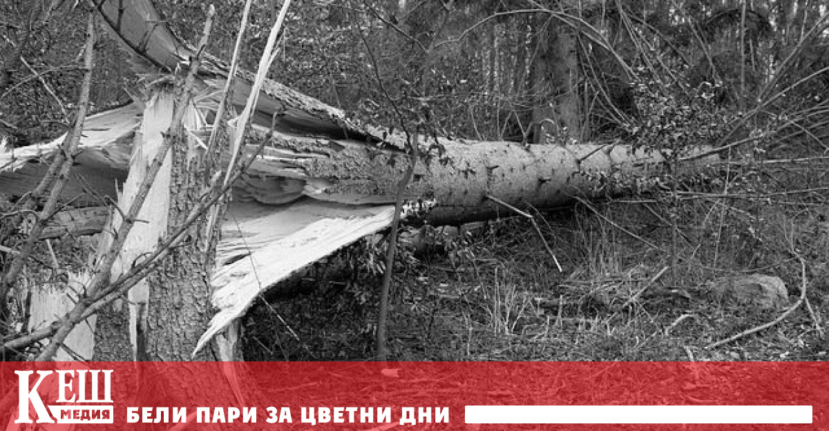 Обилният снеговалеж и бурните ветрове предизвикаха стотици аварии по електроразпределителната