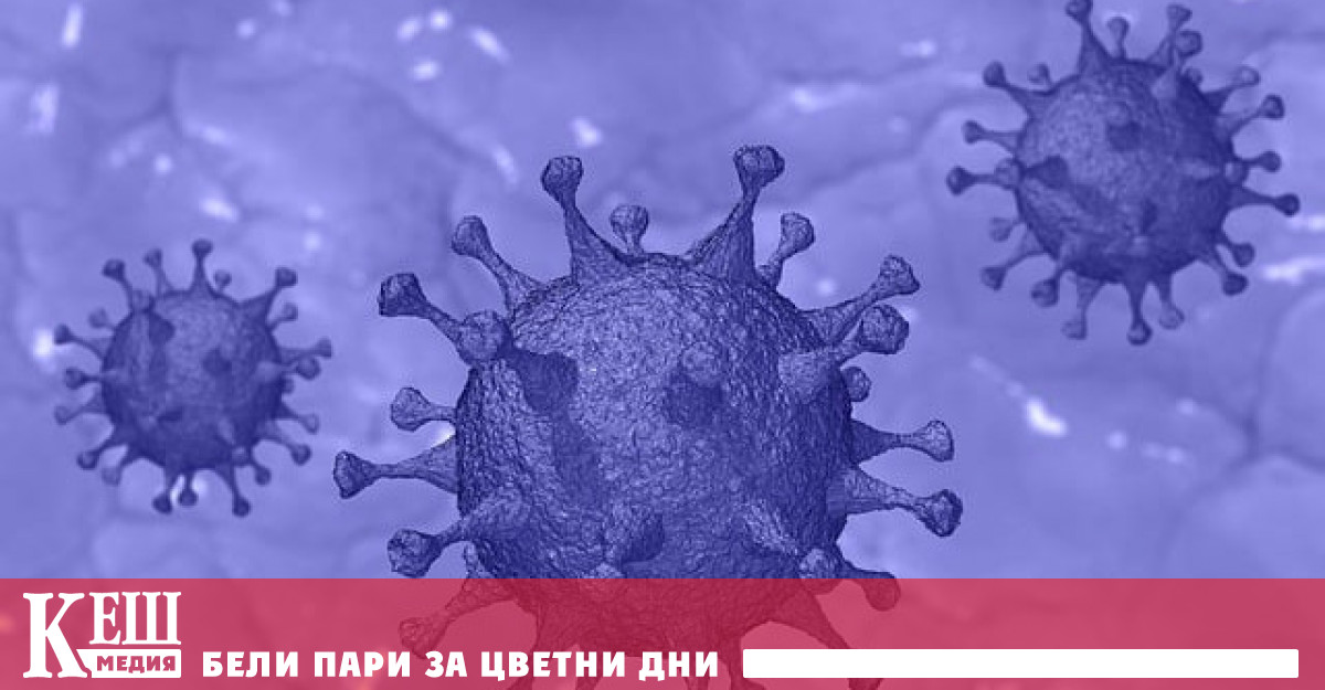 Въпреки факта че нови семейства на коронавирус се сформират в
