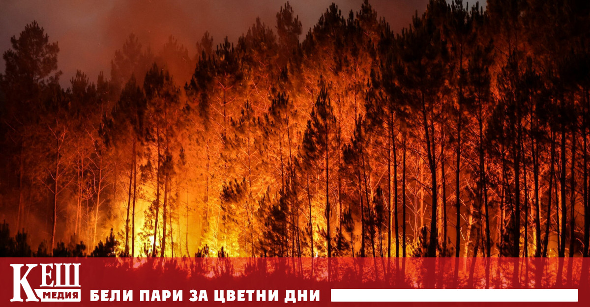 Позовавайки се на доклада Global Carbon Budget Euronews пише че