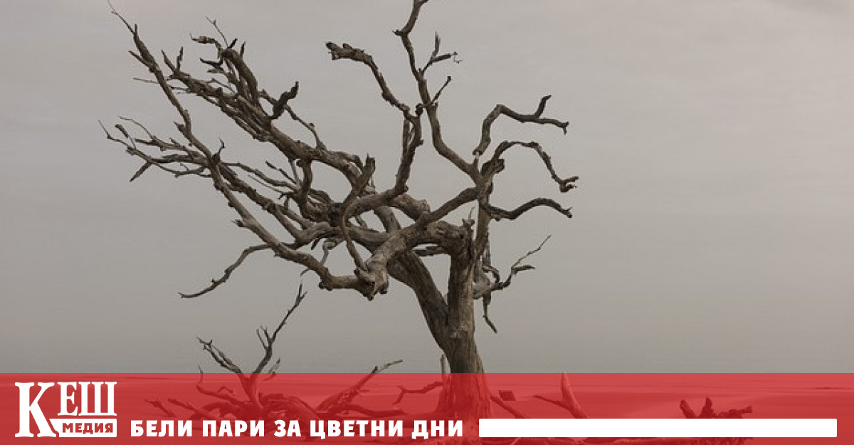 Такова близко бъдеще за планетата прогнозираха учени от проекта Global