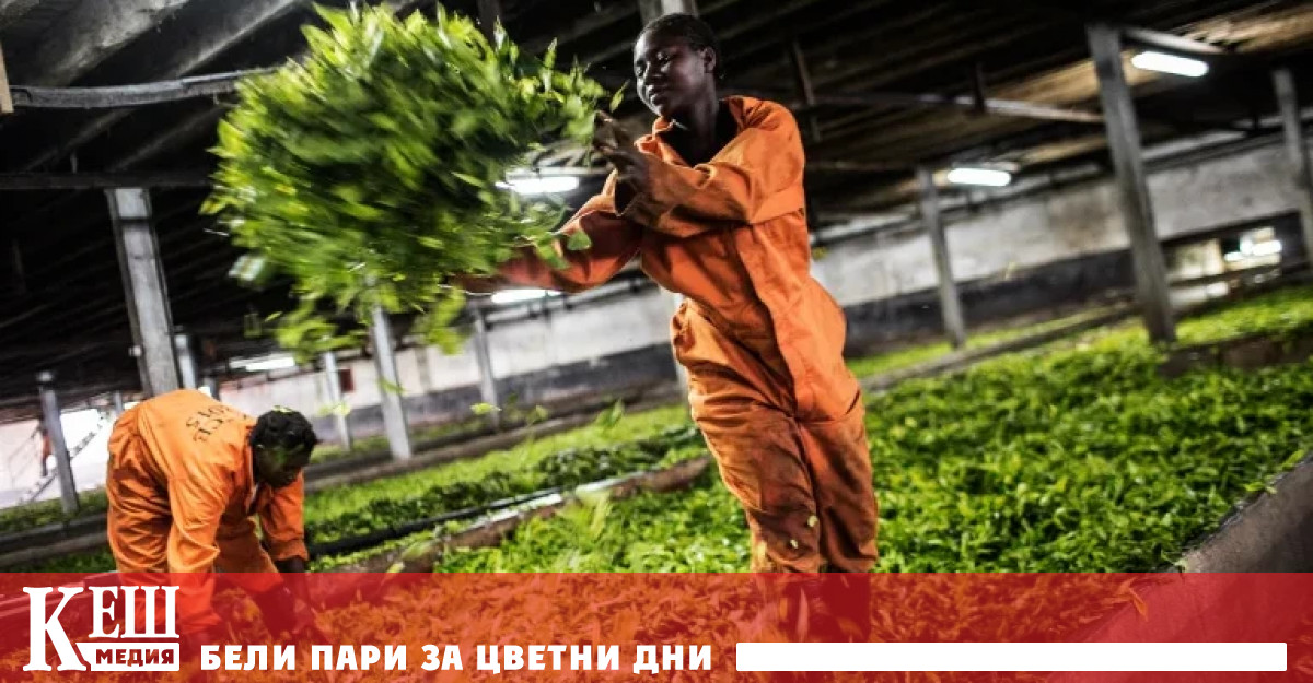 В допълнение Израел преустанови достъпа на палестински работници около 20