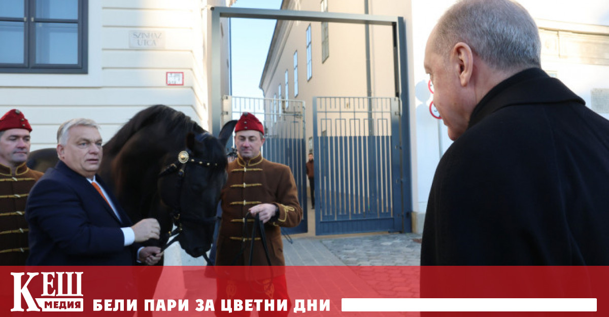 Телевизионният канал отбелязва че черният електрически автомобил Togg е украсен