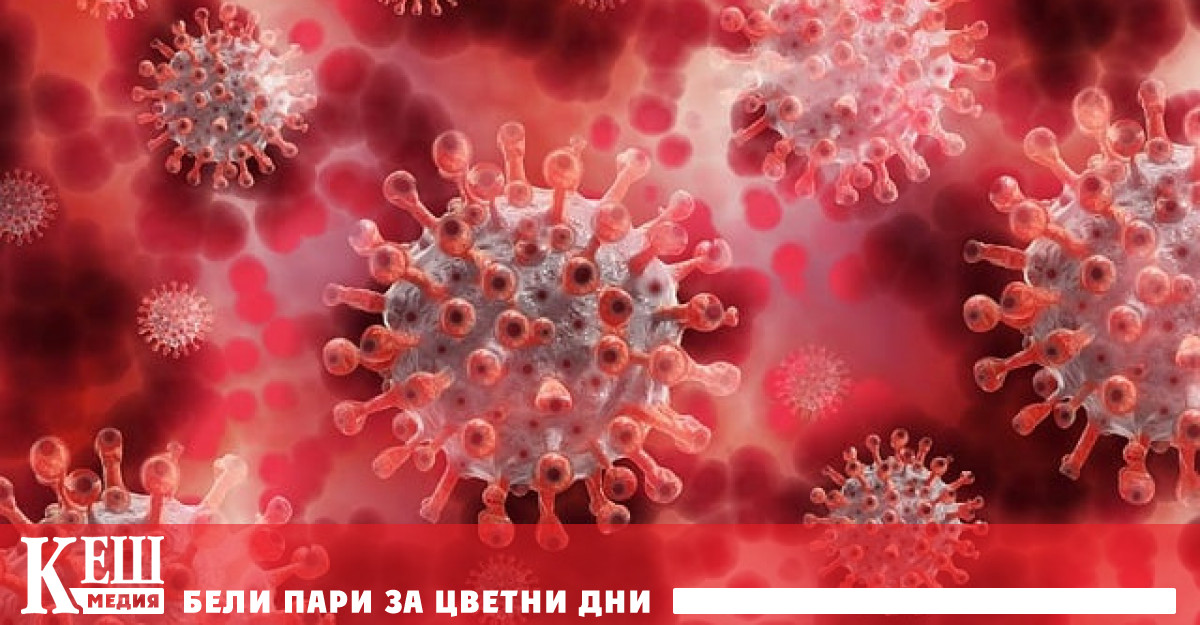 Регистрирани са общо 854 673 случая с ковид Данни за