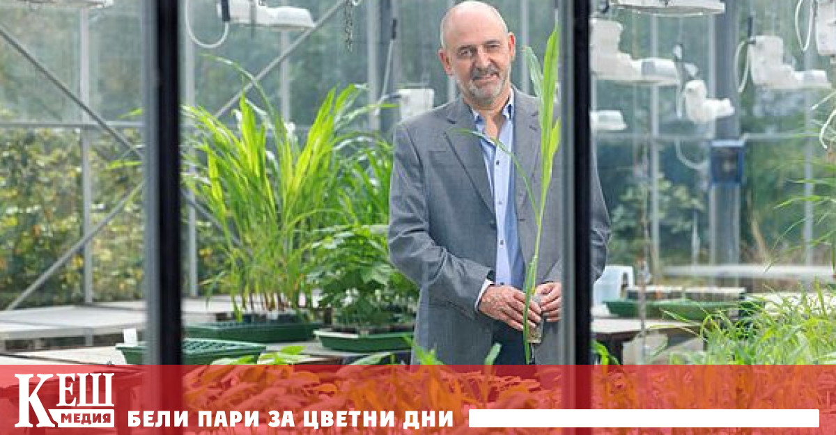 Още тогава екологът химик идентифицира химичния състав на защитните ароматни