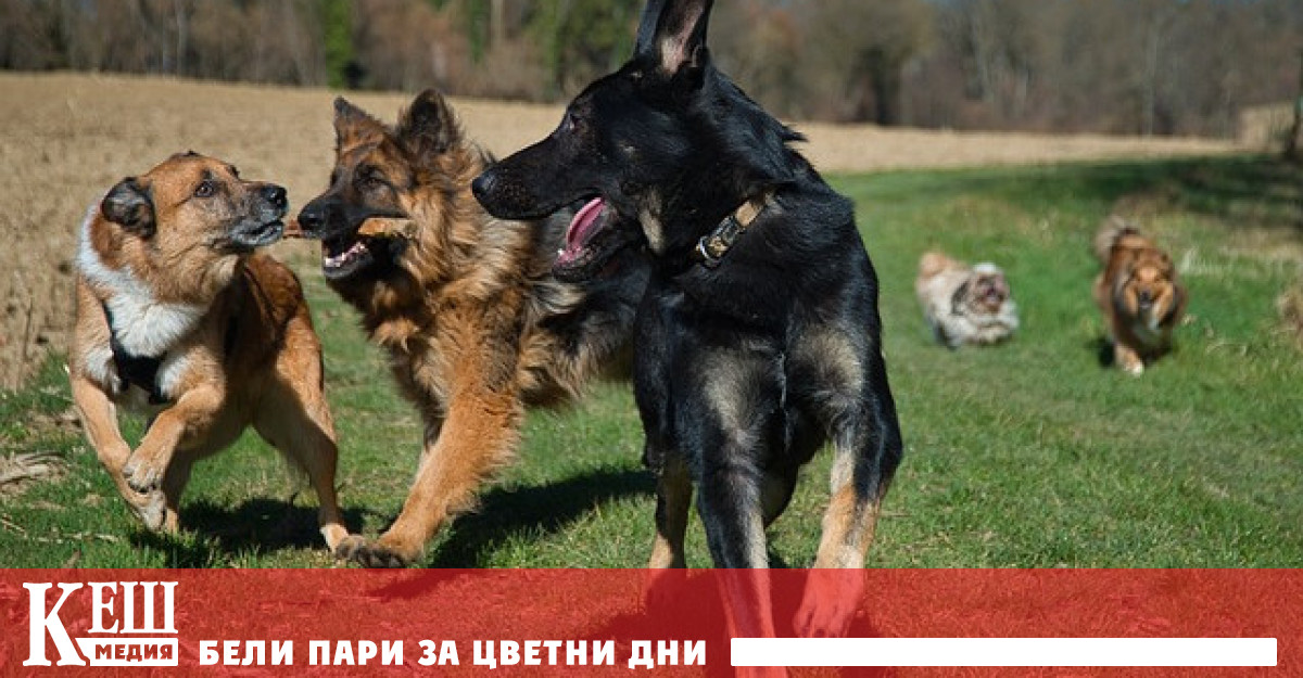 Парламентарната комисия по законодателство и съдебна система на Южна Корея