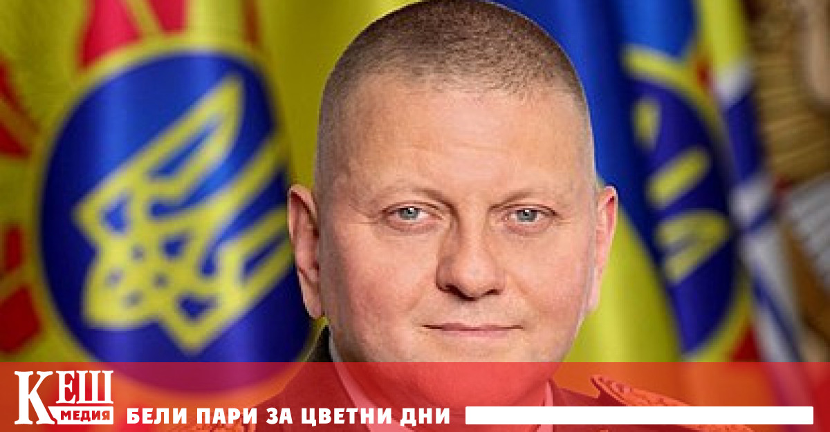Главнокомандващият Въоръжените сили на Украйна ВСУ Валерий Залужни защити дисертация