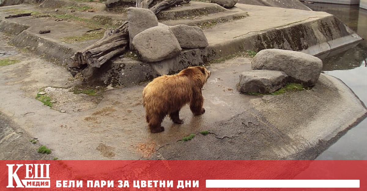 На 25 януари ще бъде поставен първия автоматичен дефибрилатор на