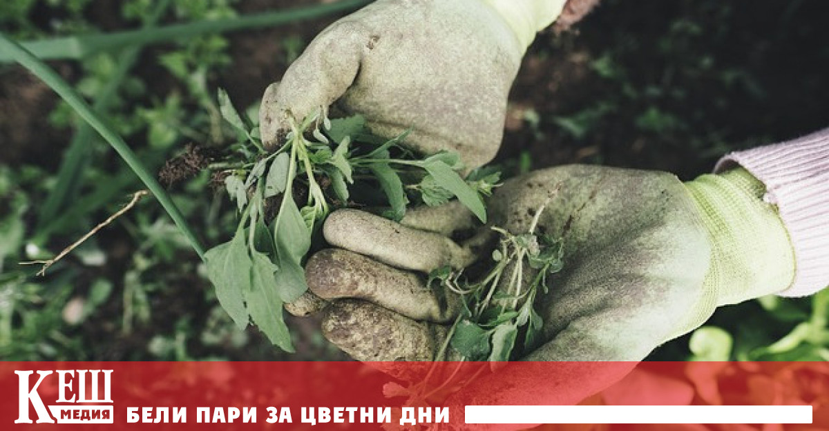 Това се смята за голям удар върху Зелената сделка на