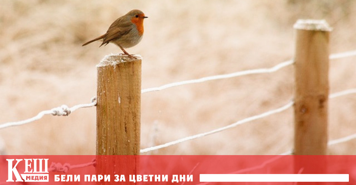 Гастроентеролози и диетолози споделят съвети за възстановяване на организма след