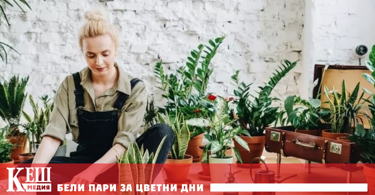 Д р Чарли Хол професор и завеждащ катедрата по международно цветарство