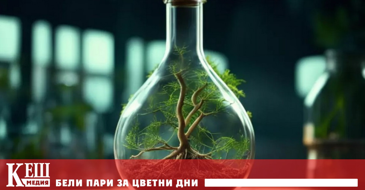 Изследователи от Университета Дюк заснемат таймлапс видео на делене на стволови