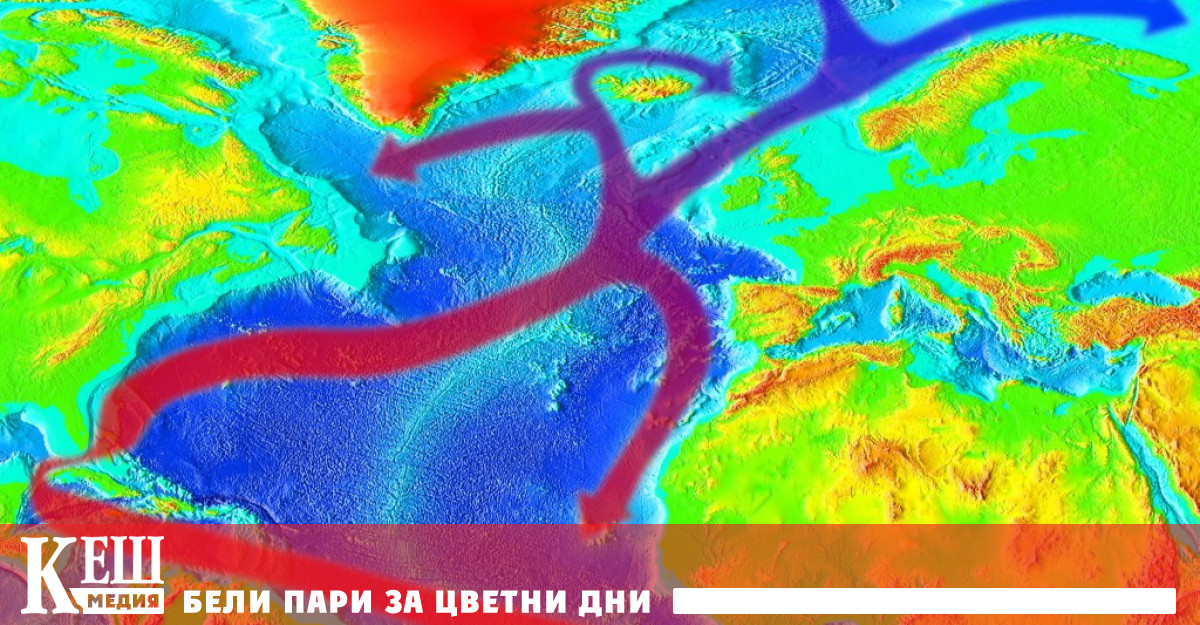 Твърди се че Гълфстрийм е източникът на проблемите Редица експерти предупреждават