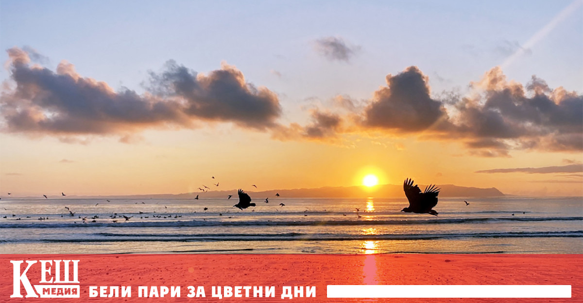 Пред The Epoch Times неврологът Андрю Хуберман определи сутрешната слънчева