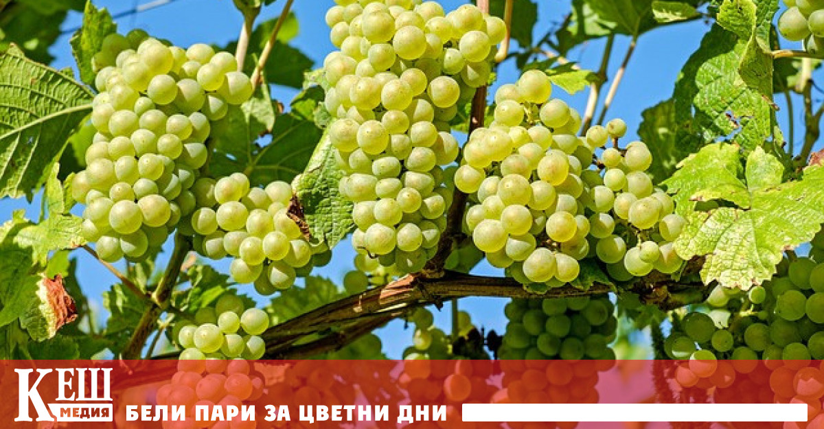 Плановете за изграждане на ново летище във Флоренция трябва да