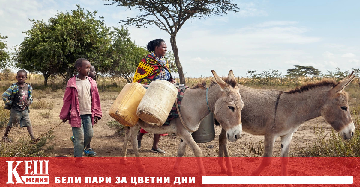 Благотворителни организации за хуманно отношение към животните приветстваха забраната която