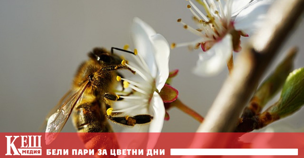 Специалисти от Турция заедно с колеги от Великобритания Австрия и