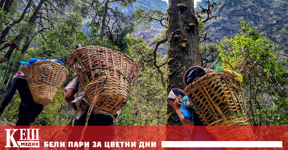 Едва ли когато стане дума за дигитализацията на бизнеса мнозина