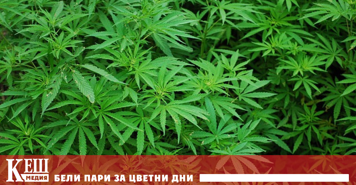 Новият закон ще влезе в сила от 1 април Германският