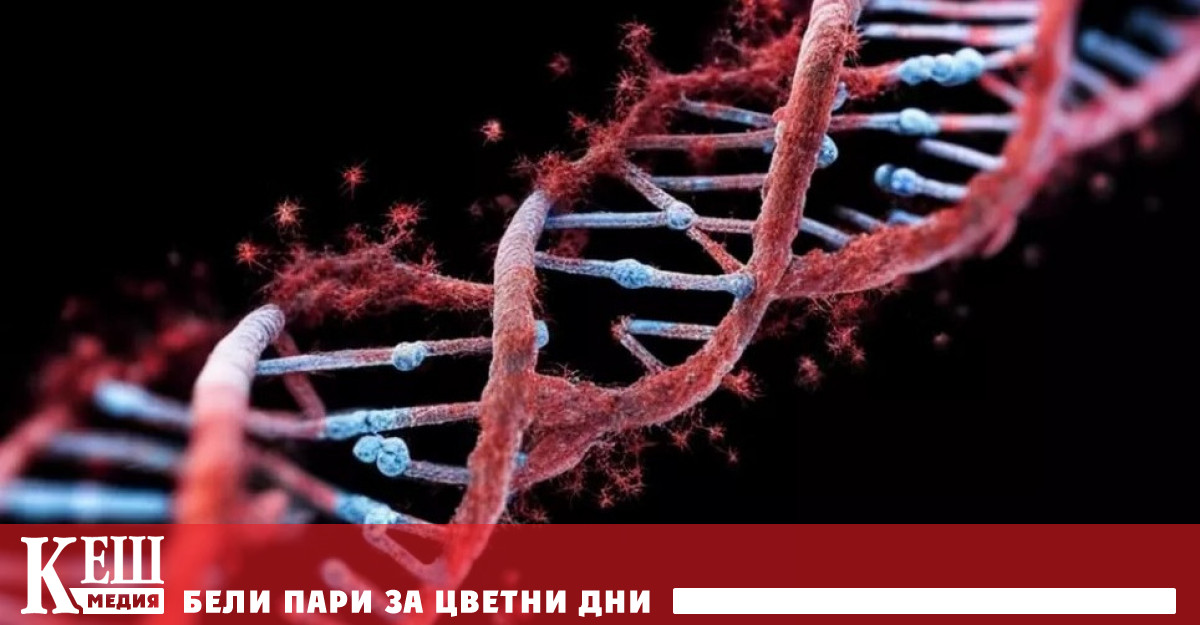 Доктор Катрин Ву водещ онколог в Бостънския институт за рака