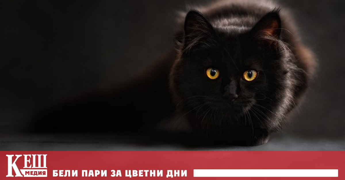 Изследване проведено от международен екип от учени от университети в