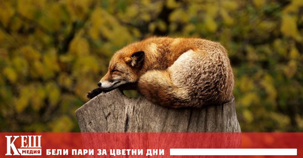 Консервативните депутати настояха законопроектът да бъде отхвърлен Срещу него се