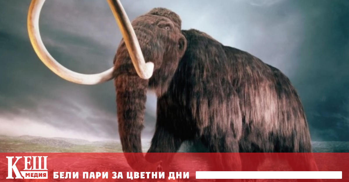 Компанията Colossal възнамерява да пресъздаде мамутитите до 2028 година Нейните