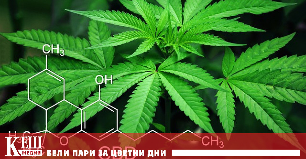 Борбата с наркотрафика се затруднява от факта че те стават