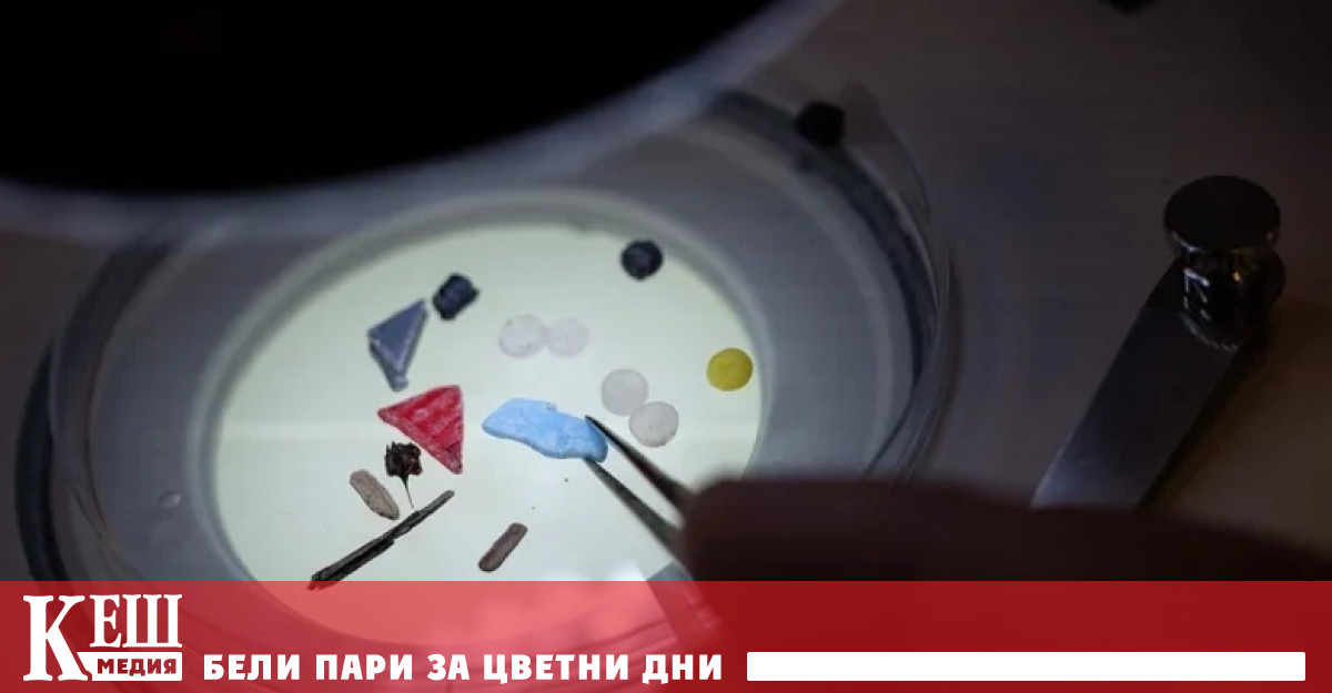 Изследване публикувано в списание Toxicological Sciences проучва проблема със замърсяването