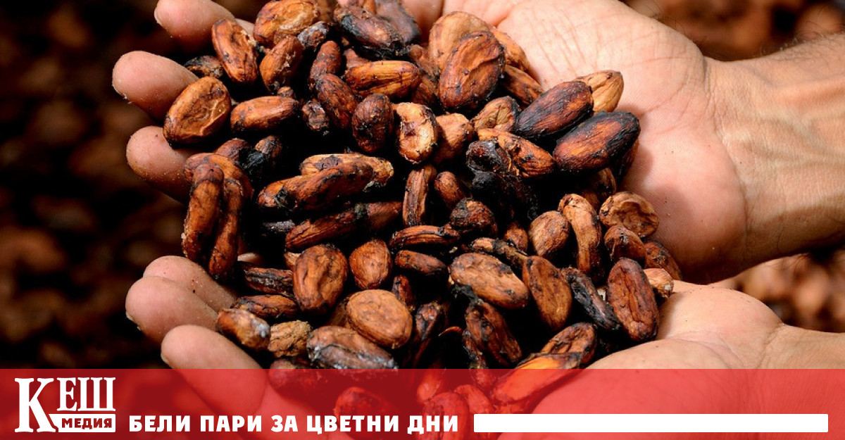 Борсовата цена на какаовите зърна в света във вторник достигна