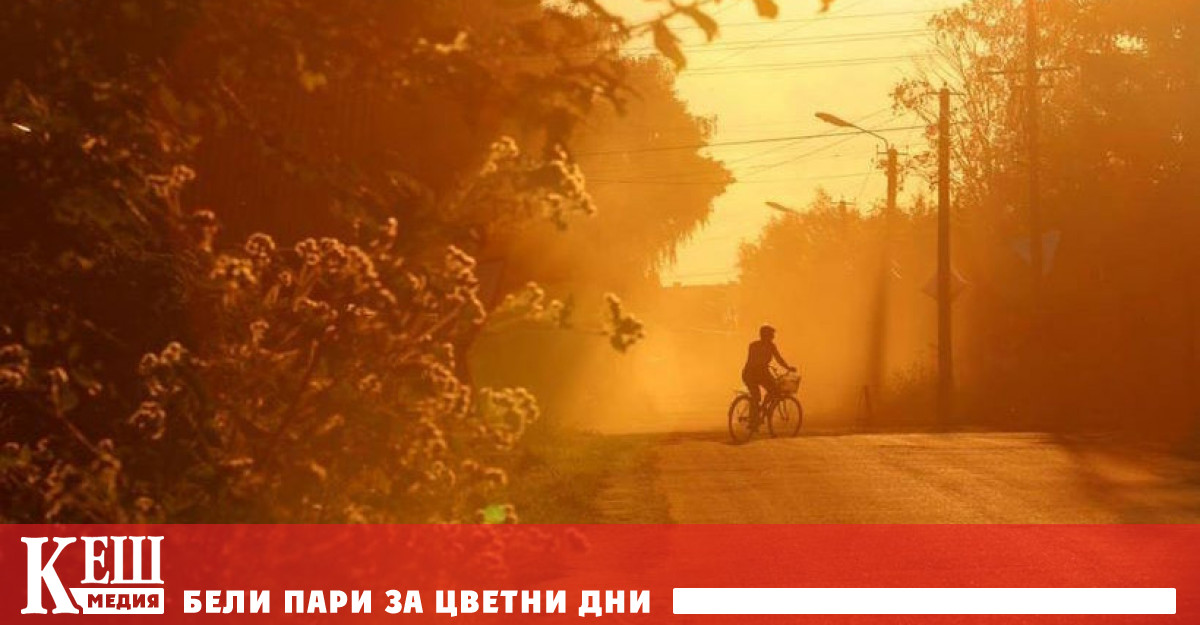 Изводите на учените са публикувани в статия в научното списание