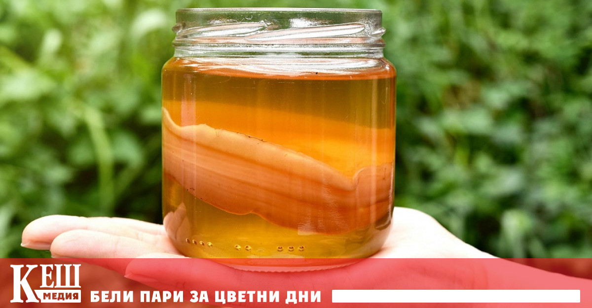 Ново проучване което разглежда кръглите червеи установи че микроорганизмите в