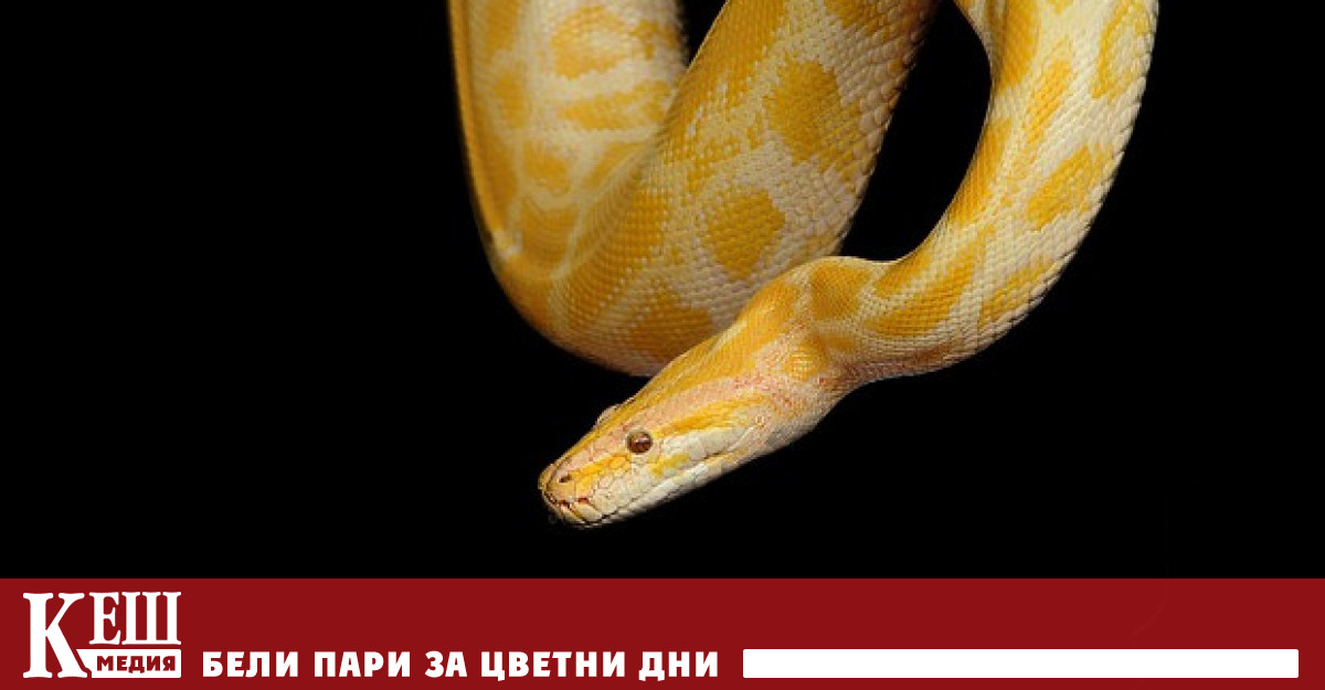 Това се съобщава в статия публикувана в списание Proceedings of