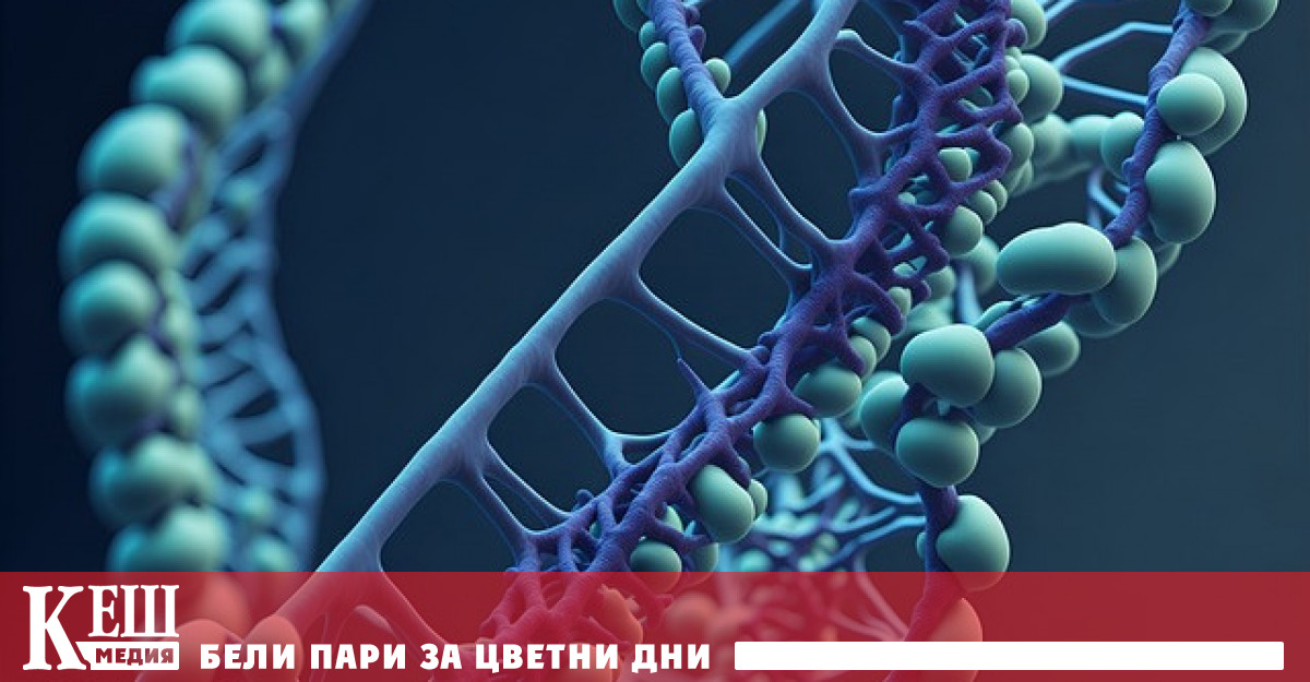 Учени от университета в Ювяскюла във Финландия установиха че наличието