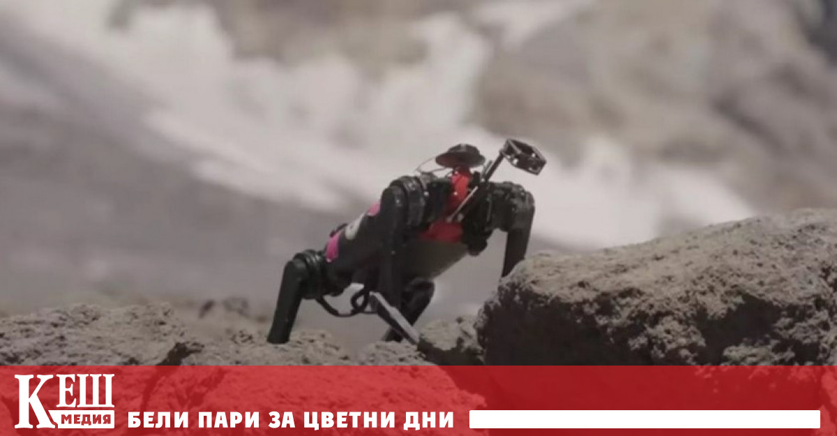 Група учени участващи в проекта Legged Autonomous Surface Science in