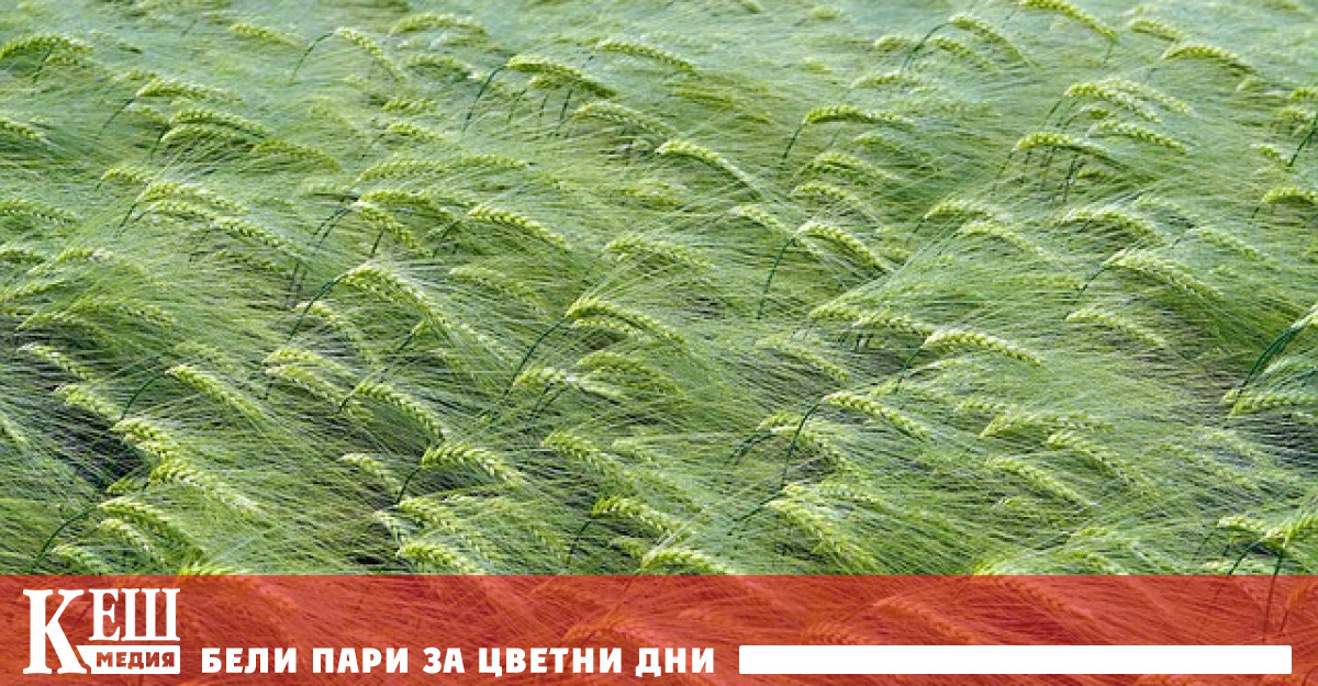 Над 200 млн лв са от преструктуриране на сметките на