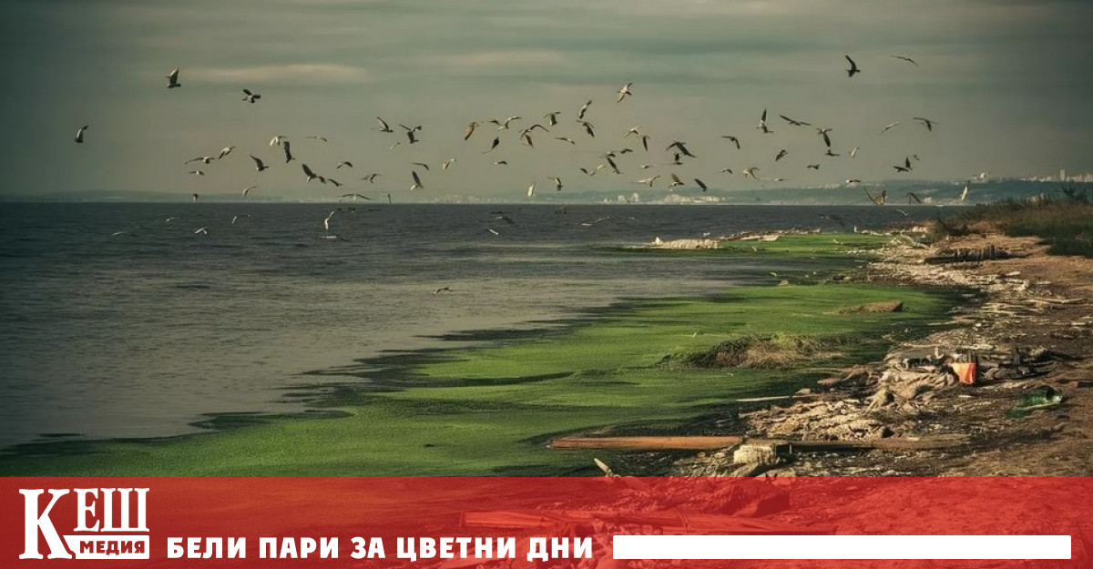 Балтийско море което и без това страда от недостиг на