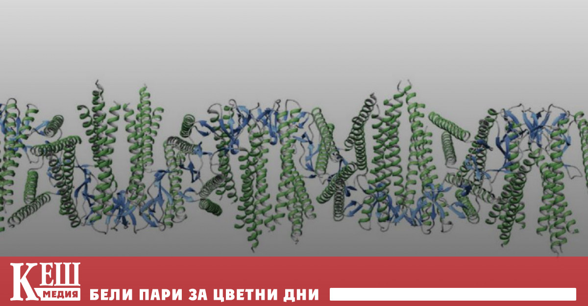 Изследователи от Университета на Нов Южен Уелс демонстрираха че протеиновите