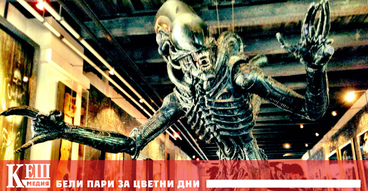 В Музея на жабата в кантон Фрибург ще видите над