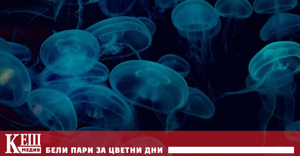 Затоплянето на водите може да доведе до разширяване на местообитанието