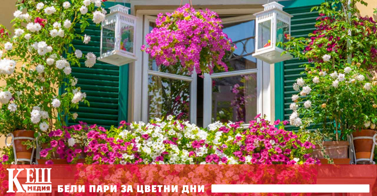 Проучване на факултетите по биологични и екологични науки в университетите