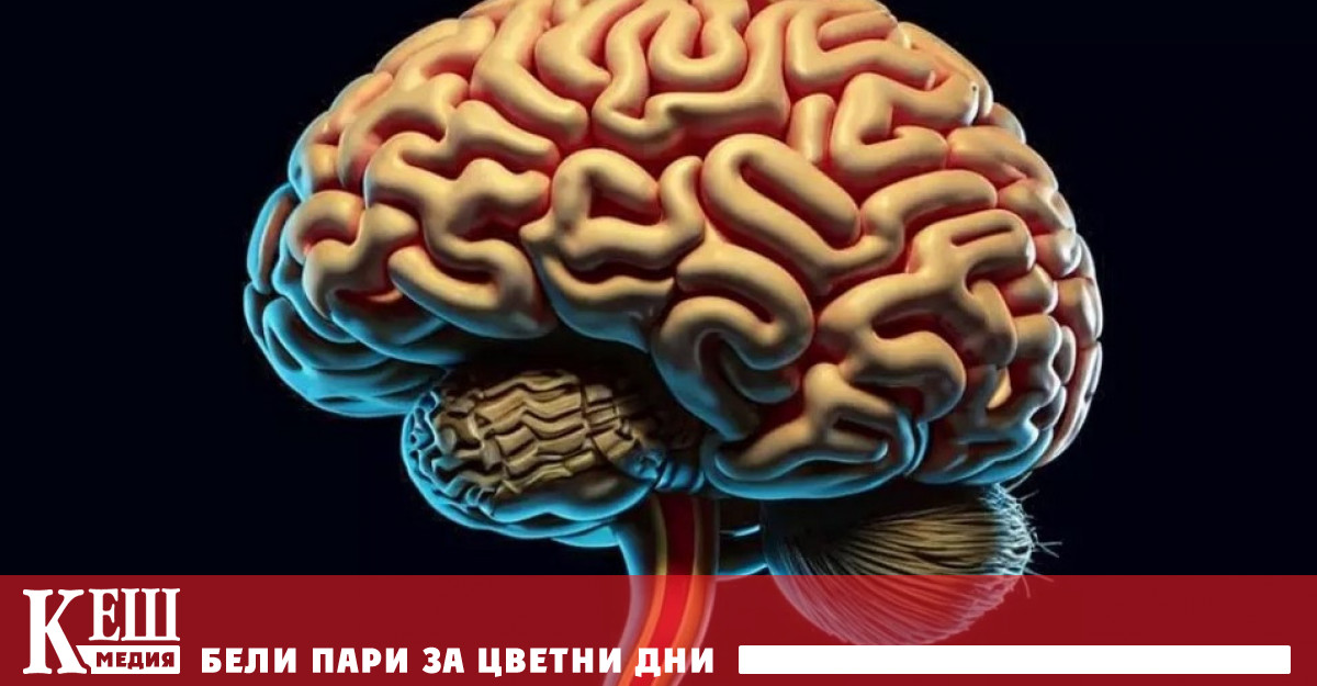 Неотдавнашно проучване проведено от Университета в Ювяскюля и Университета на