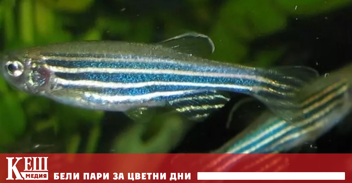 На китайската космическа станция Тянгун се провежда мащабен и продължителен