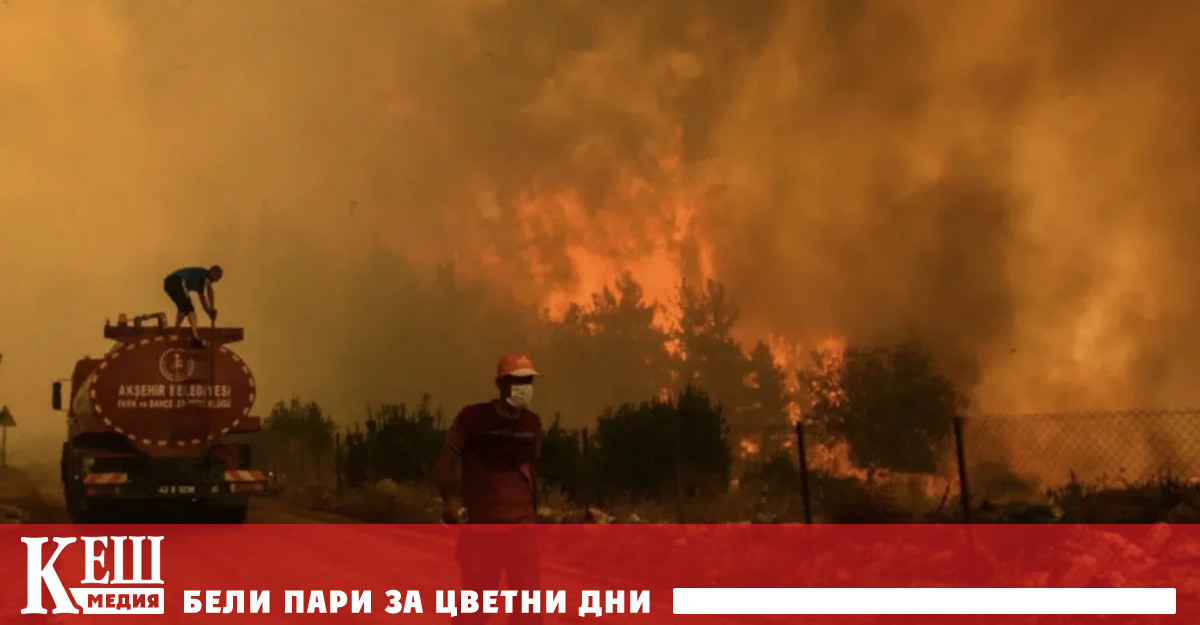 Фойерверките изстреляни от плавателния съд унищожиха в петък единствената борова