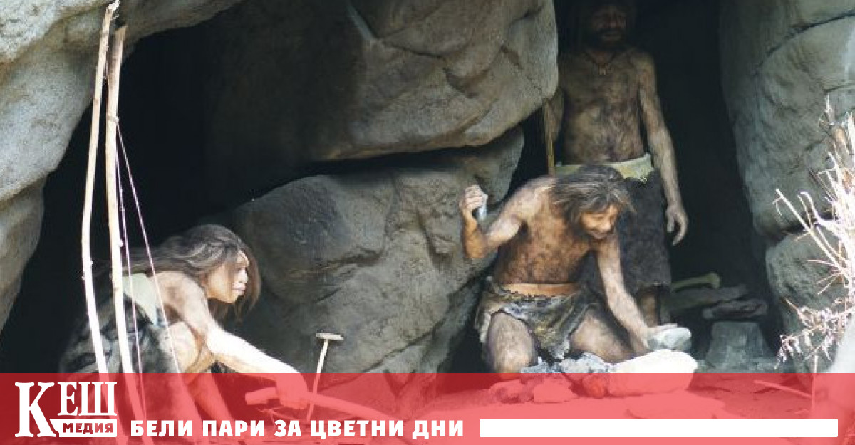 Те заключиха че преди повече от половин милион години предците