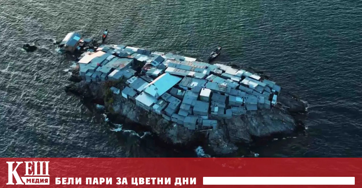 Обкован в ламарина приличен на костенурка сред повече от 68