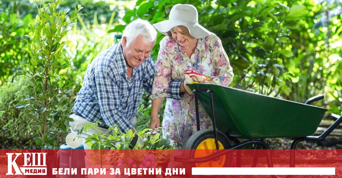 Експериментът включващ участници от всички възрасти разкрива връзка между редовното